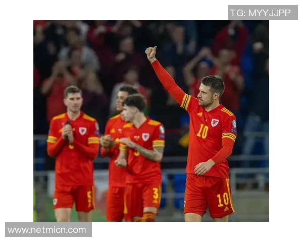 比利时足球历史十大巨星盘点及其在世界足坛的影响力解析 比利时足球历史十大巨星盘点及其在世界足坛的影响力解析