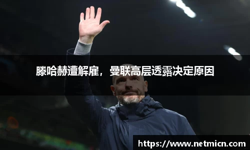 球速体育官方