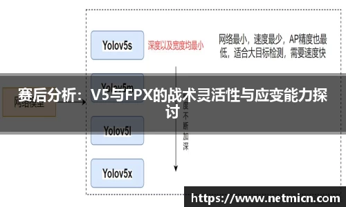 球速体育平台登录入口