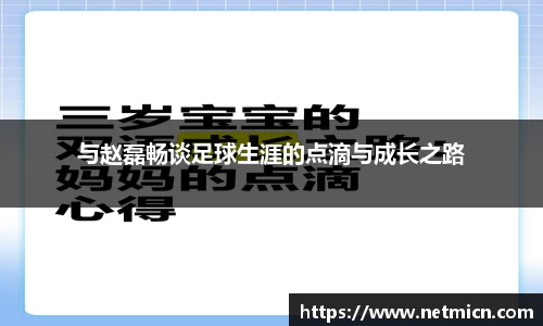 球速体育平台登录入口