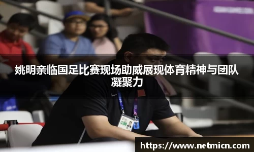 球速体育平台登录入口