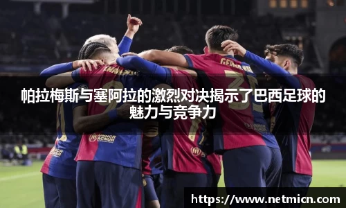 球速体育平台登录入口