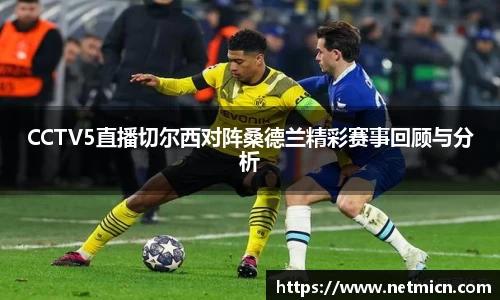 球速体育官方