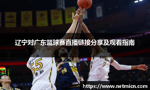 球速体育平台登录入口